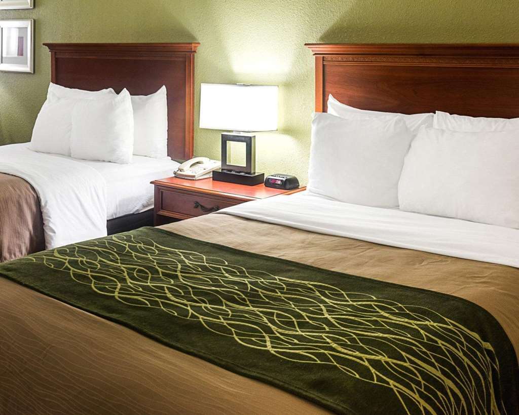 Comfort Inn Newport News - Hampton I-64 Phòng bức ảnh